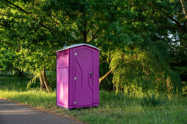 Best Local porta potty services  in Palmyra, WI